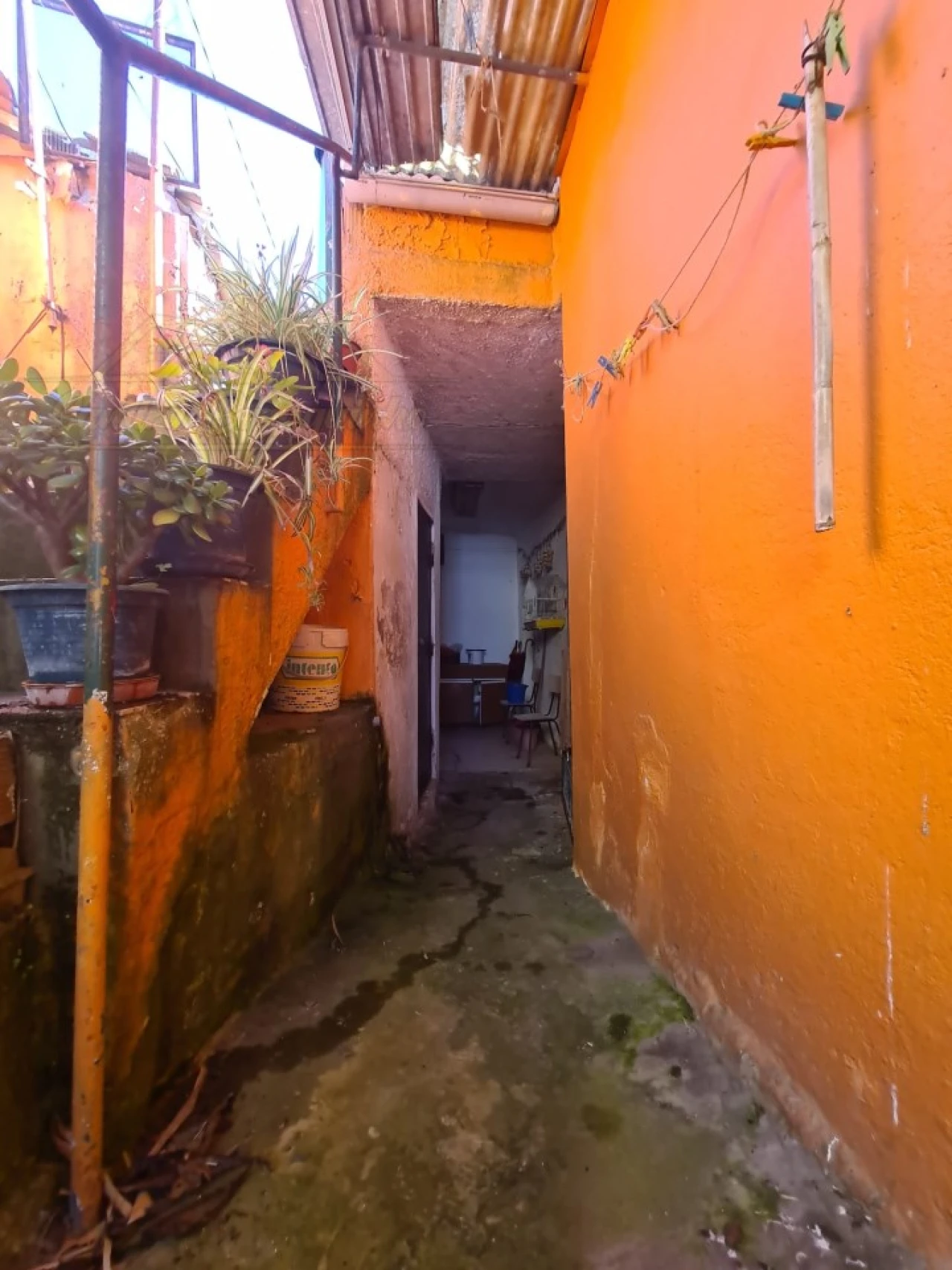 Moradia T3 para Venda em Ventosa Foto 4