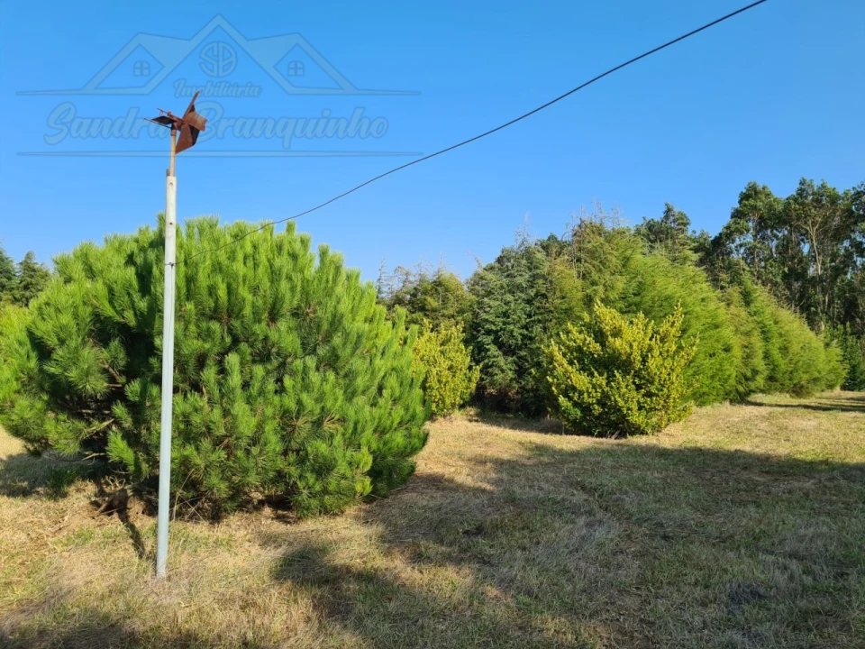 Moradia T5 para Venda em Aldeia Galega da Merceana e Aldeia Gavinha Foto 38