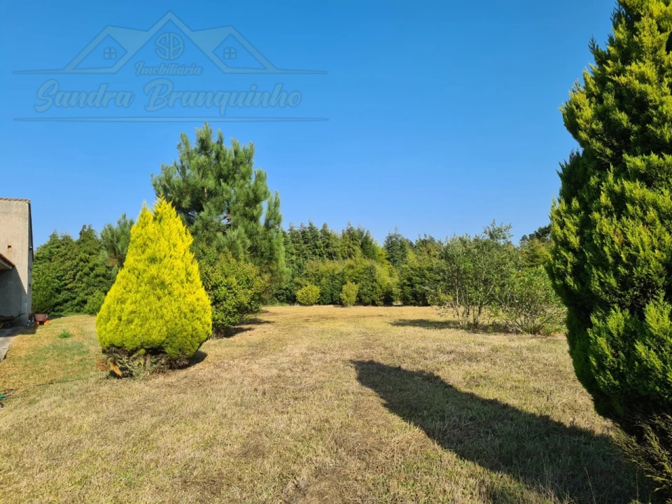 Moradia T5 para Venda em Aldeia Galega da Merceana e Aldeia Gavinha Foto 41