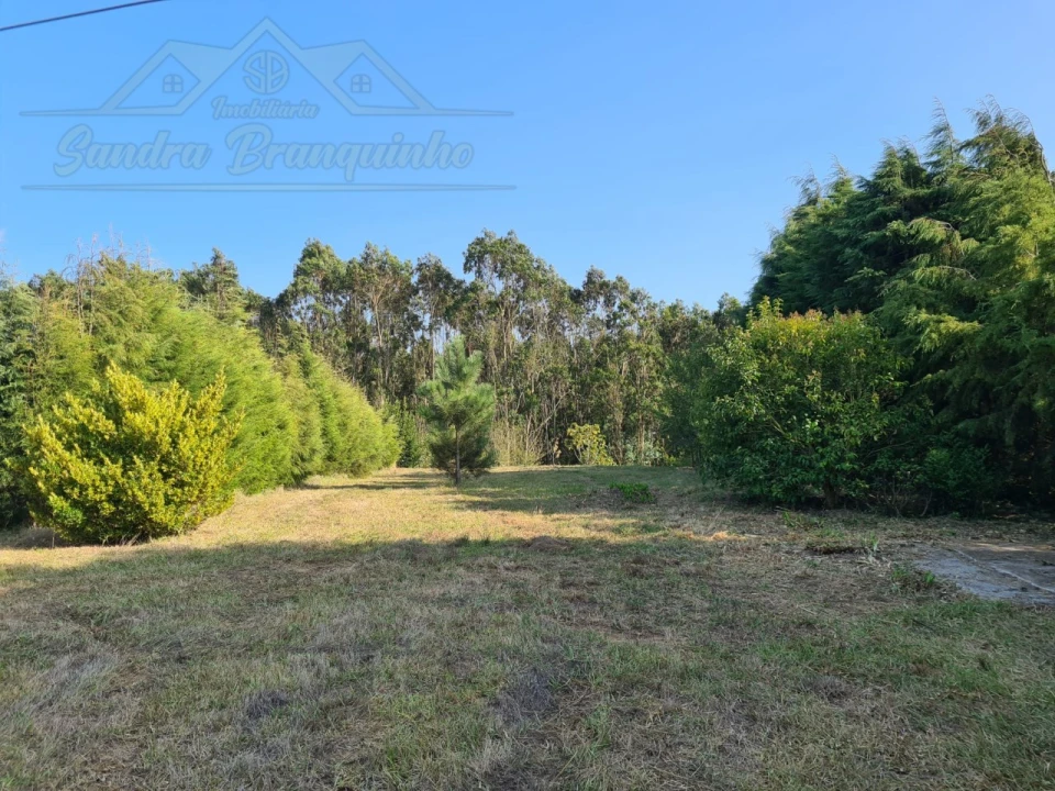 Moradia T5 para Venda em Aldeia Galega da Merceana e Aldeia Gavinha Foto 39