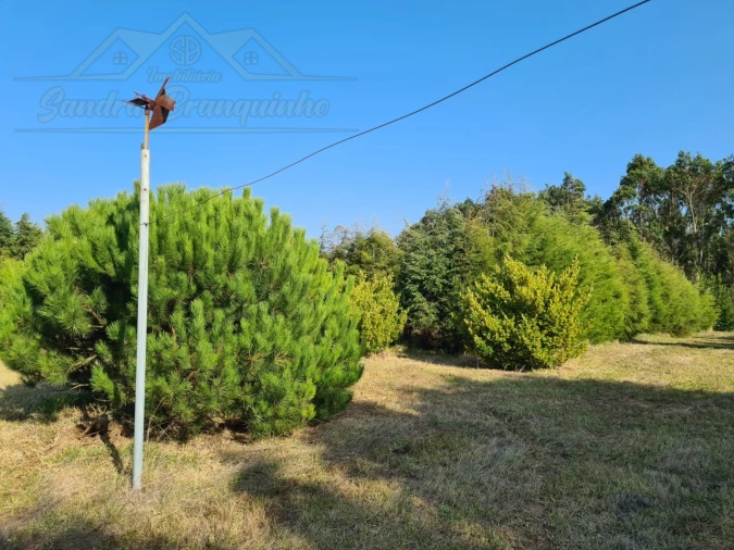 Moradia T5 para Venda em Aldeia Galega da Merceana e Aldeia Gavinha Foto 38