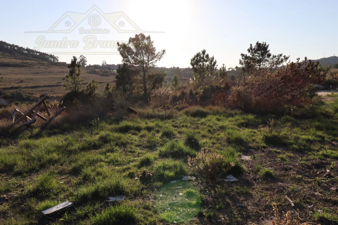 Armazém para Venda em Fanhões Foto 11