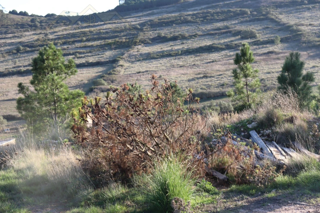 Armazém para Venda em Fanhões Foto 14