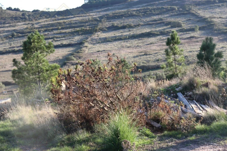Armazém para Venda em Fanhões Foto 14