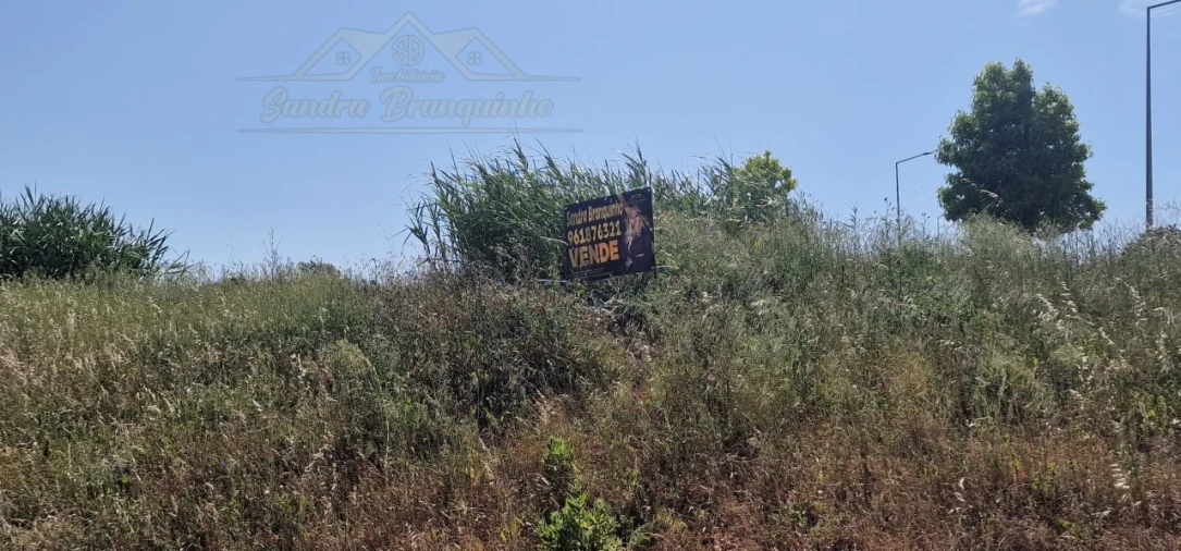 Terreno para Venda em Ponte do Rol Foto 11