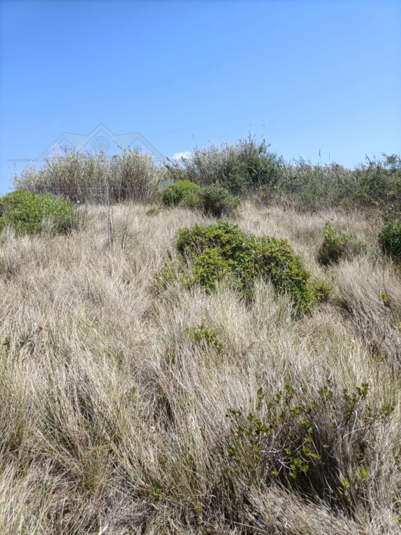 Terreno para Venda em Encarnação Foto 8
