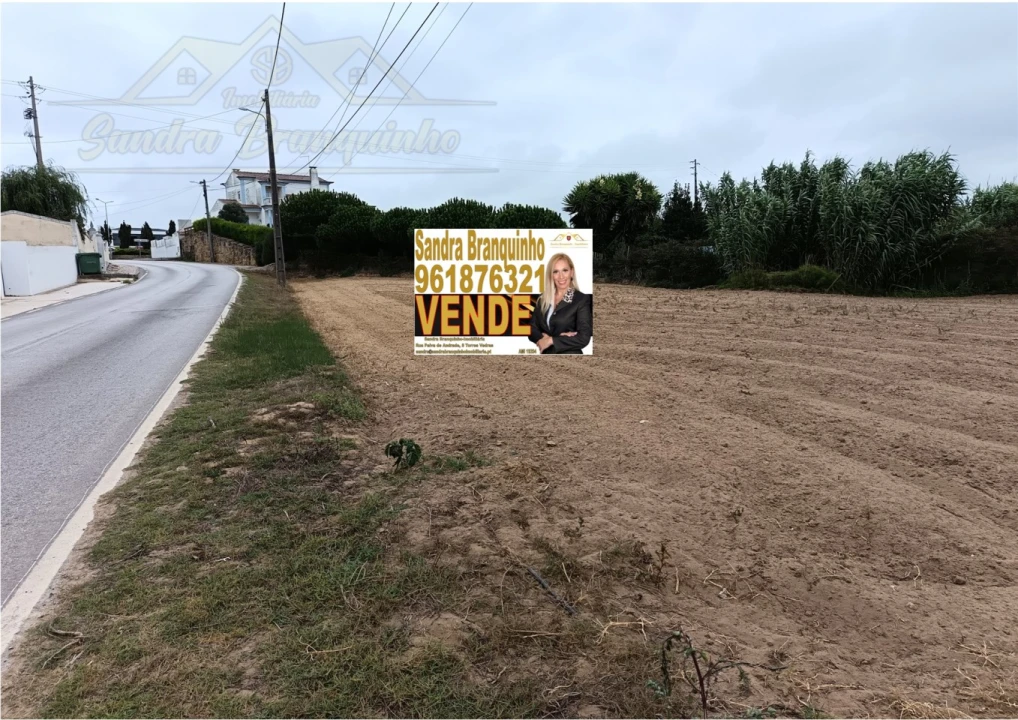 Terreno para Venda em São Pedro da Cadeira Foto 4