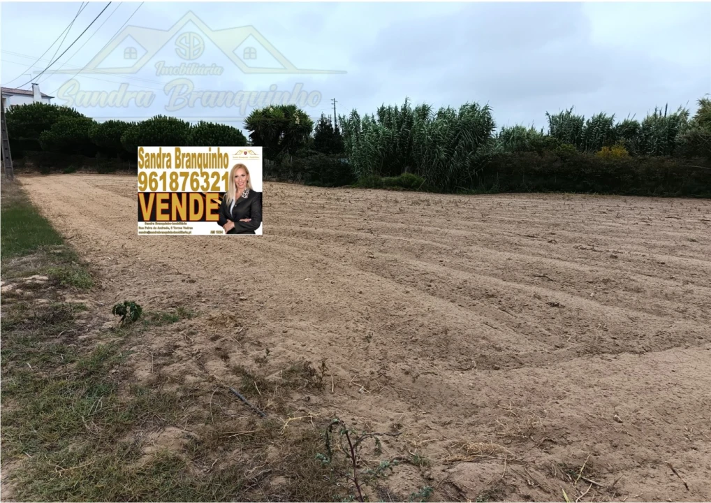 Terreno para Venda em São Pedro da Cadeira Foto 5