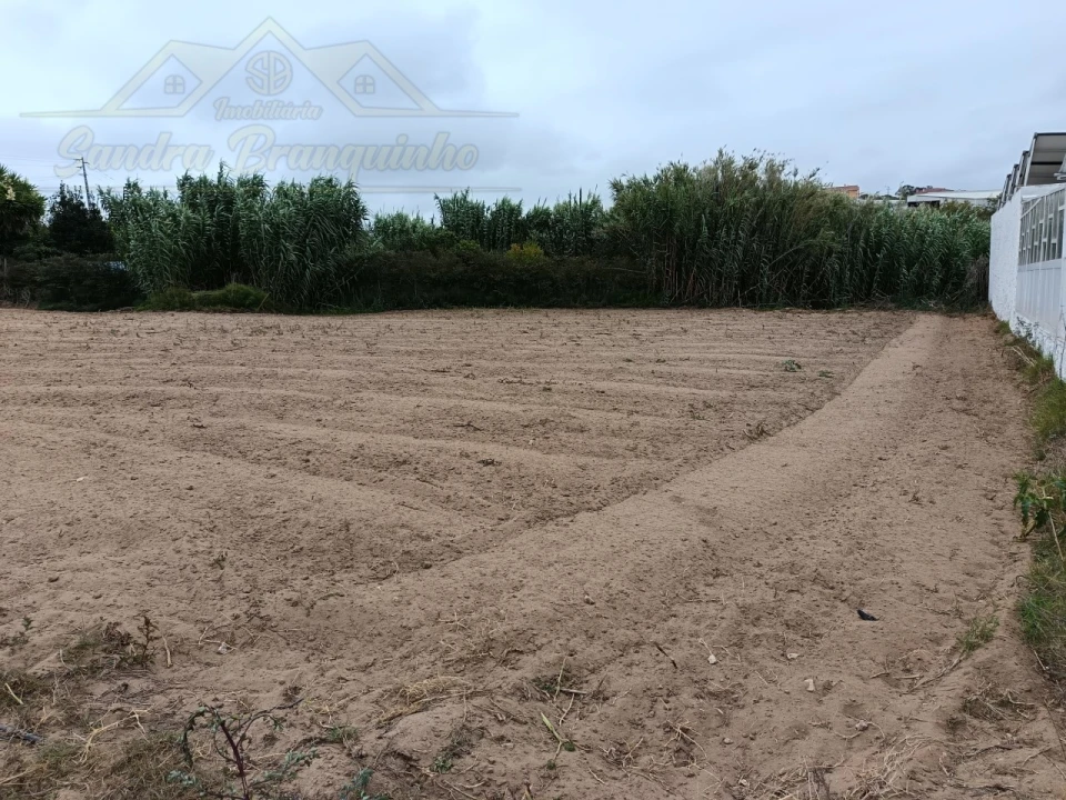 Terreno para Venda em São Pedro da Cadeira Foto 7