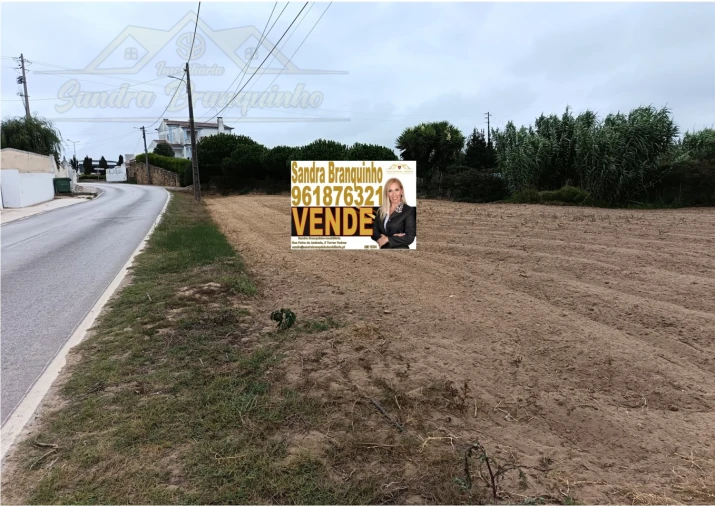 Terreno para Venda em São Pedro da Cadeira Foto 4