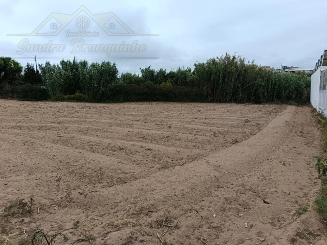 Terreno para Venda em São Pedro da Cadeira Foto 6
