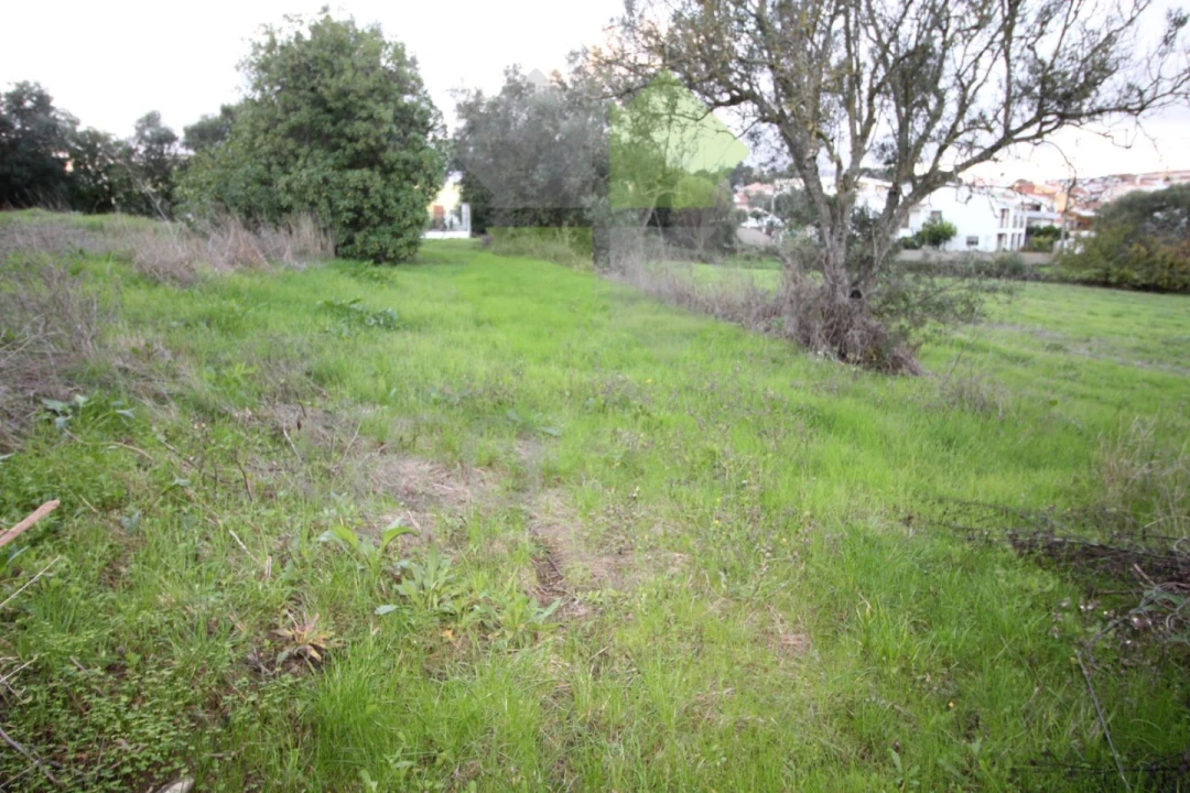 Terreno para Venda em Rio de Mouro Foto 1