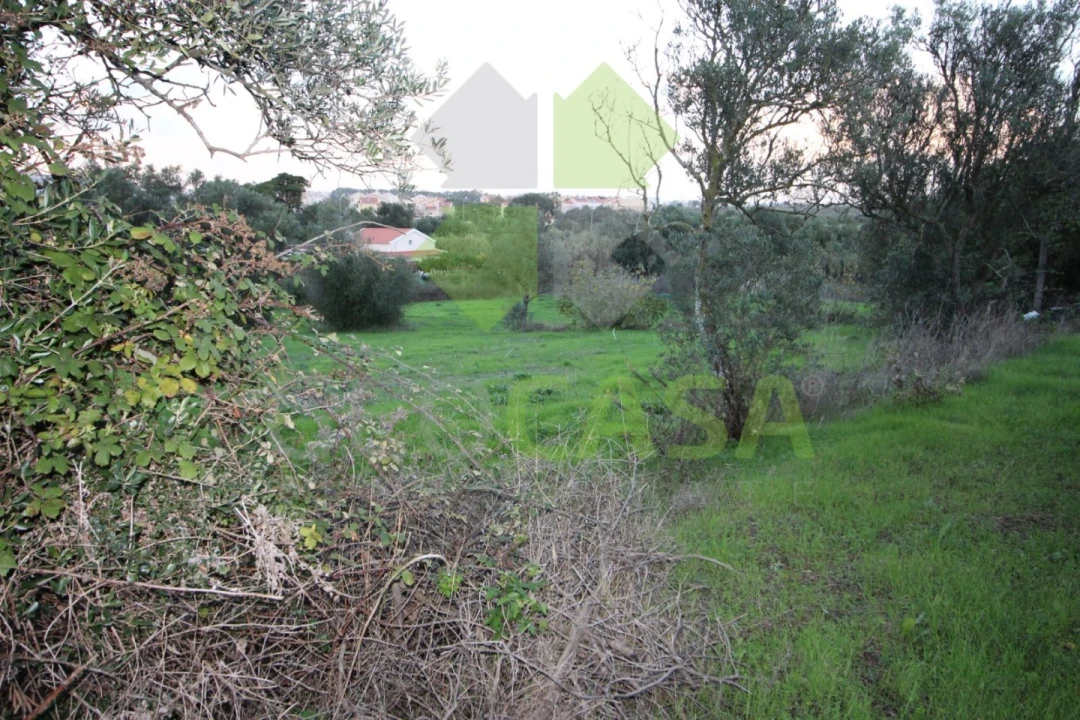 Terreno para Venda em Rio de Mouro Foto 5