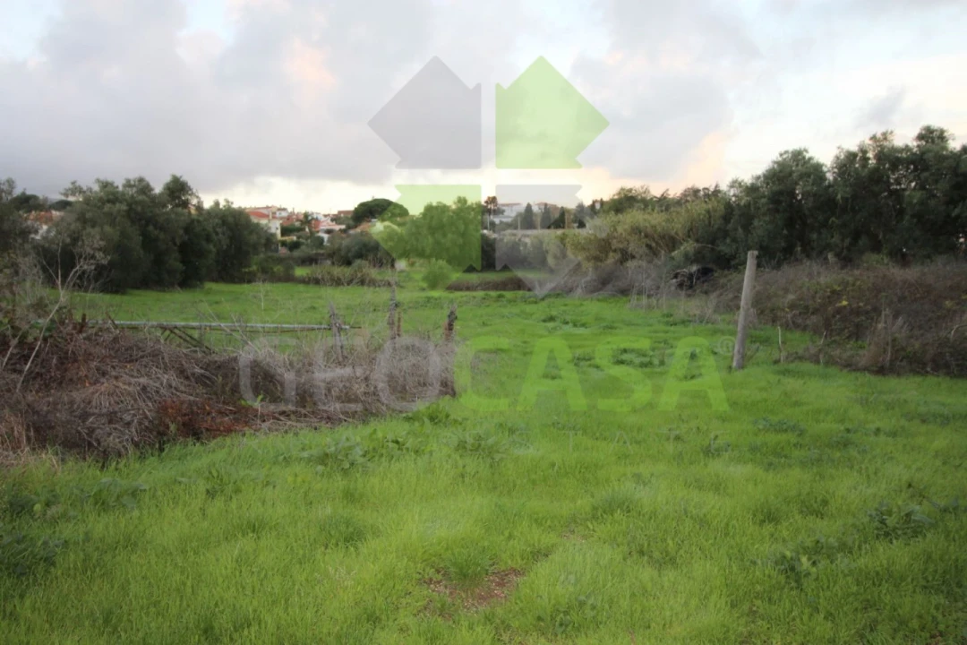 Terreno para Venda em Rio de Mouro Foto 2