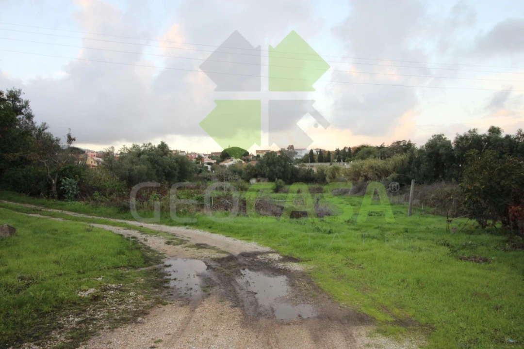 Terreno para Venda em Rio de Mouro Foto 4