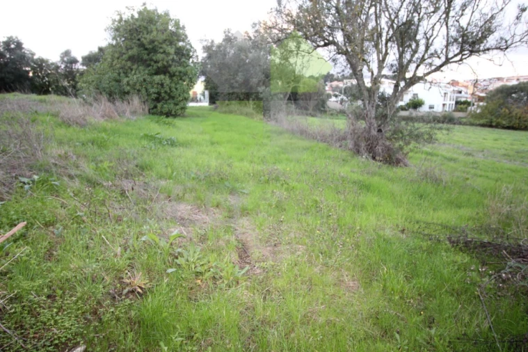 Terreno para Venda em Rio de Mouro