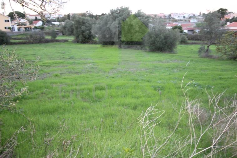 Terreno para Venda em Rio de Mouro Foto 3