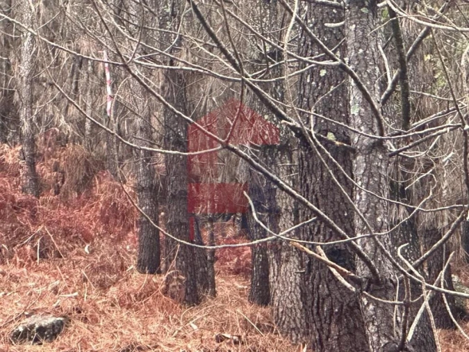 Terreno para Venda em Caires Foto 6