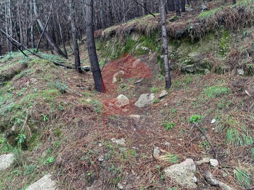 Terreno para Venda em Caires Foto 2