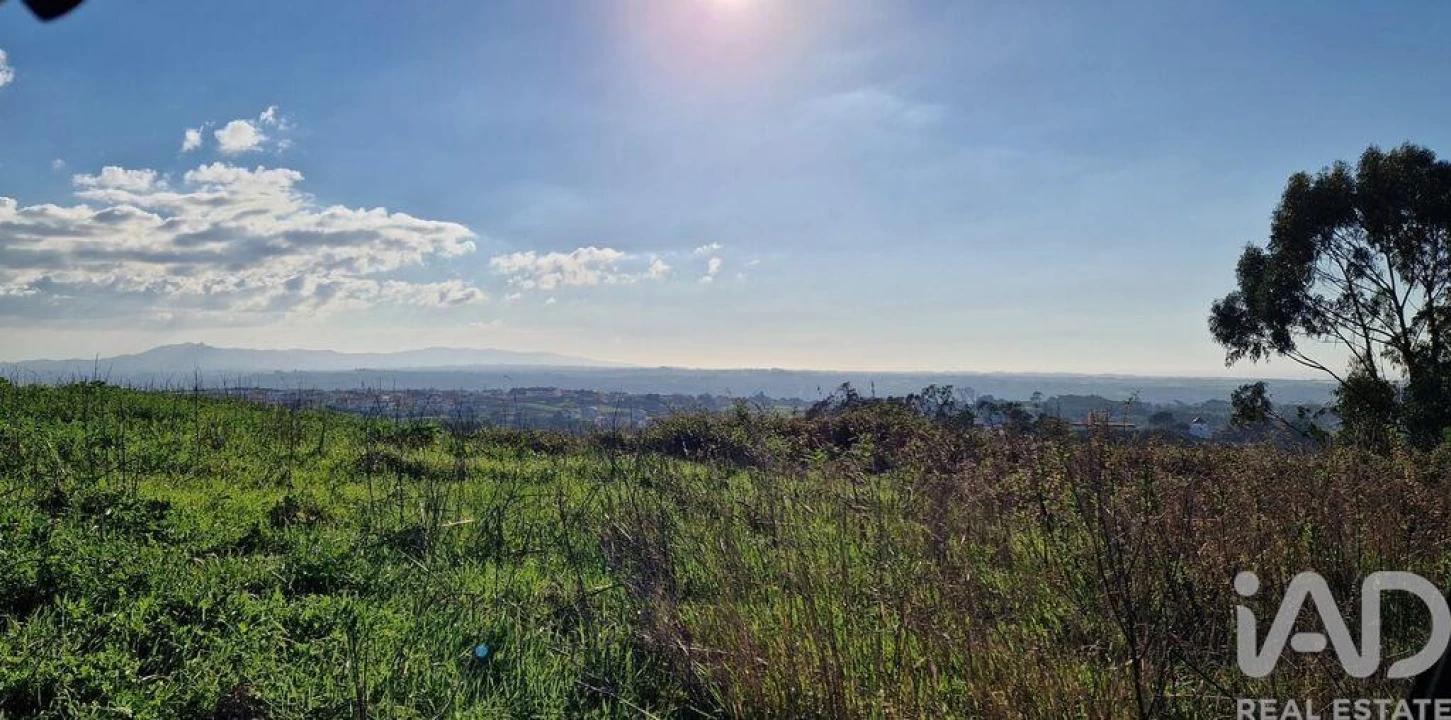 Terreno para Venda em Igreja Nova e Cheleiros Foto 21