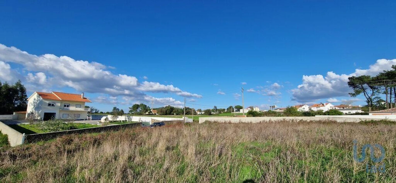 Terreno para Venda em Igreja Nova e Cheleiros Foto 6