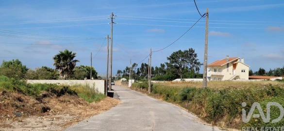 Terreno para Venda em Igreja Nova e Cheleiros