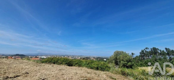 Terreno para Venda em Igreja Nova e Cheleiros