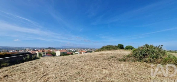 Terreno para Venda em Igreja Nova e Cheleiros