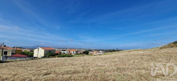Terreno para Venda em Igreja Nova e Cheleiros