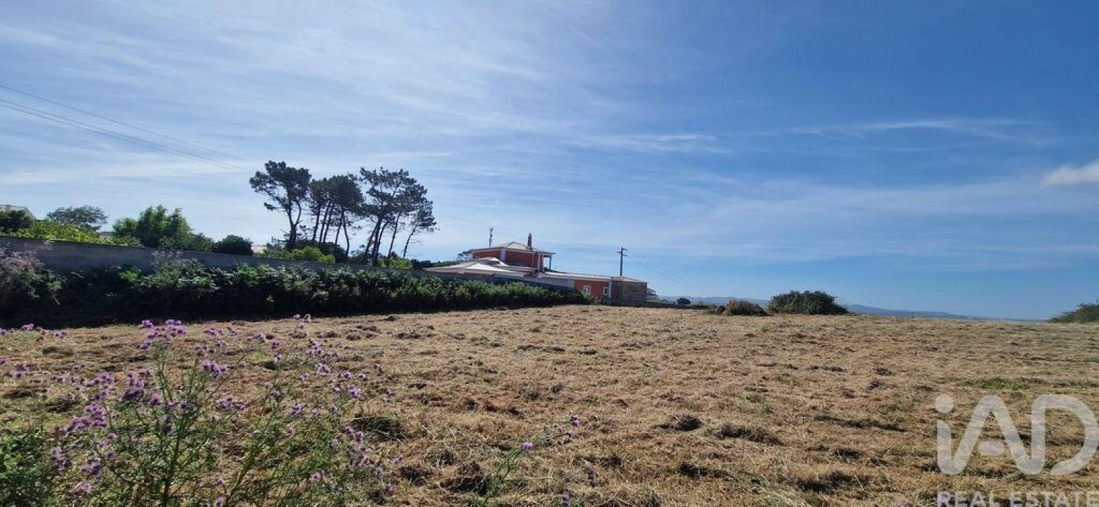 Terreno para Venda em Igreja Nova e Cheleiros Foto 14