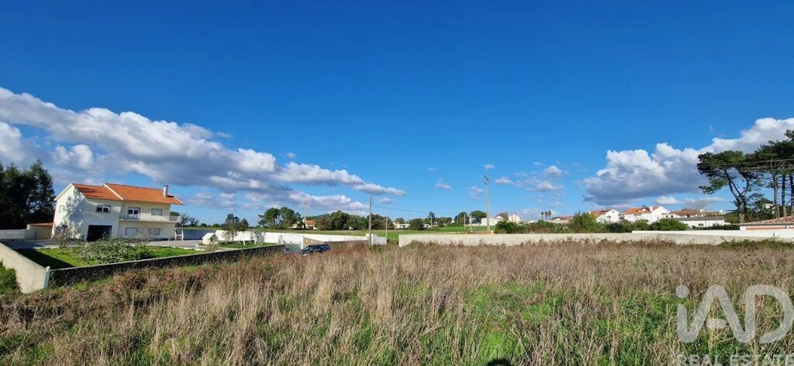 Terreno para Venda em Igreja Nova e Cheleiros Foto 28