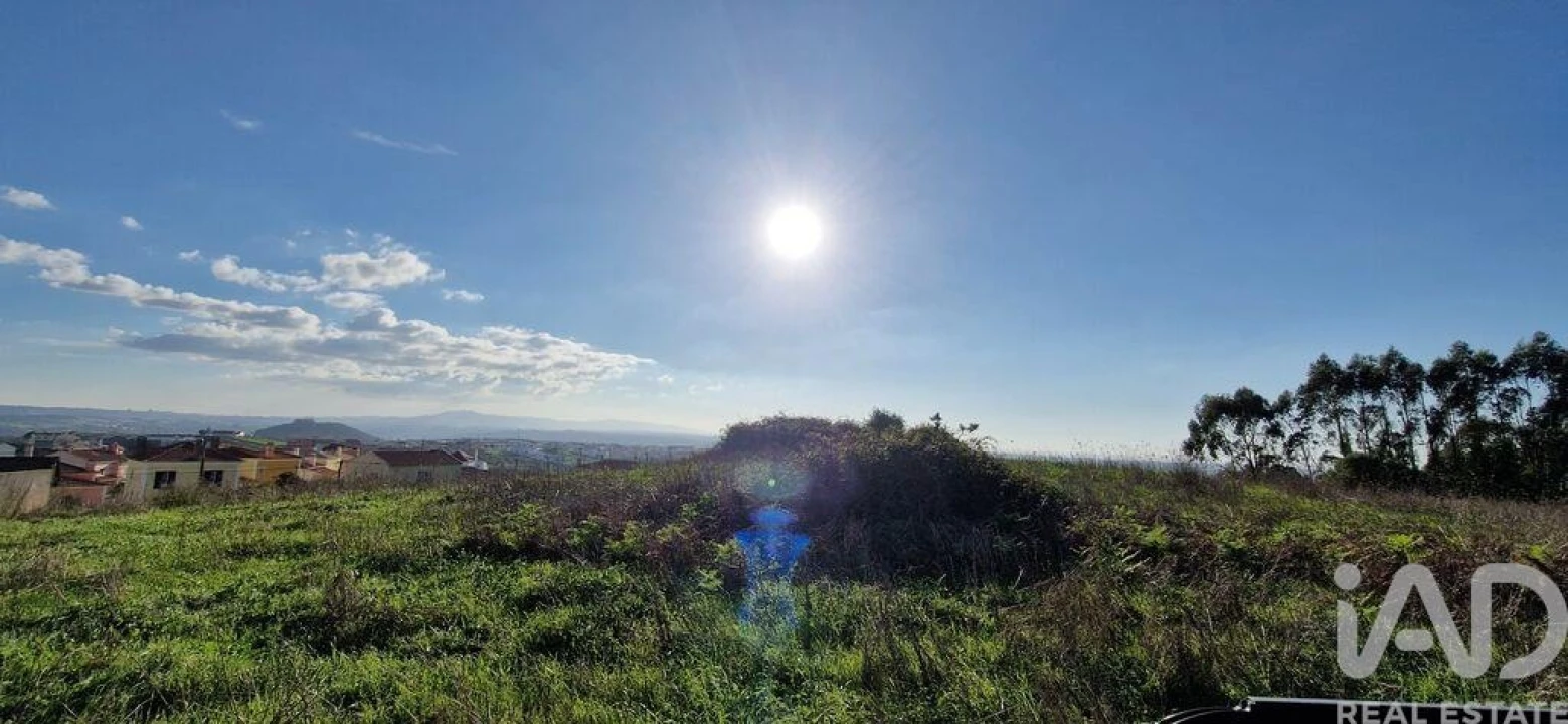 Terreno para Venda em Igreja Nova e Cheleiros Foto 23