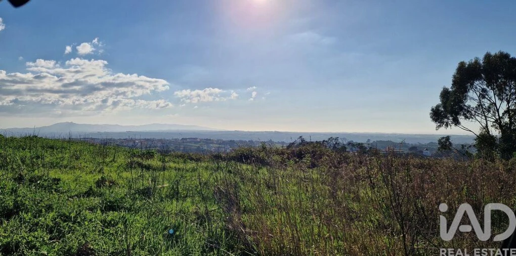 Terreno para Venda em Igreja Nova e Cheleiros Foto 21