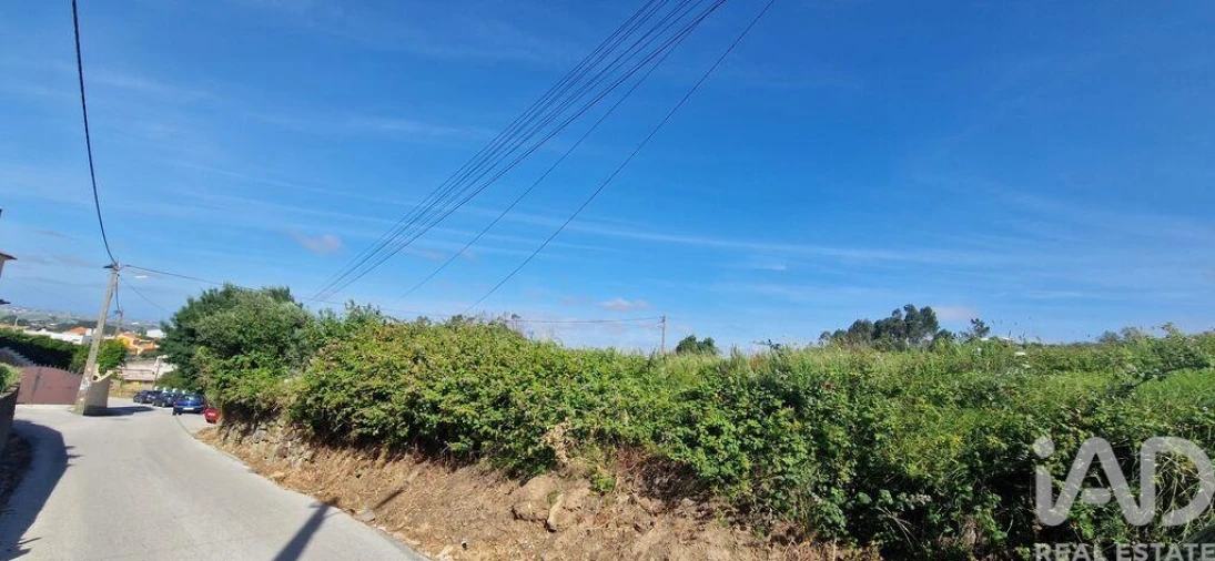 Terreno para Venda em Igreja Nova e Cheleiros Foto 13