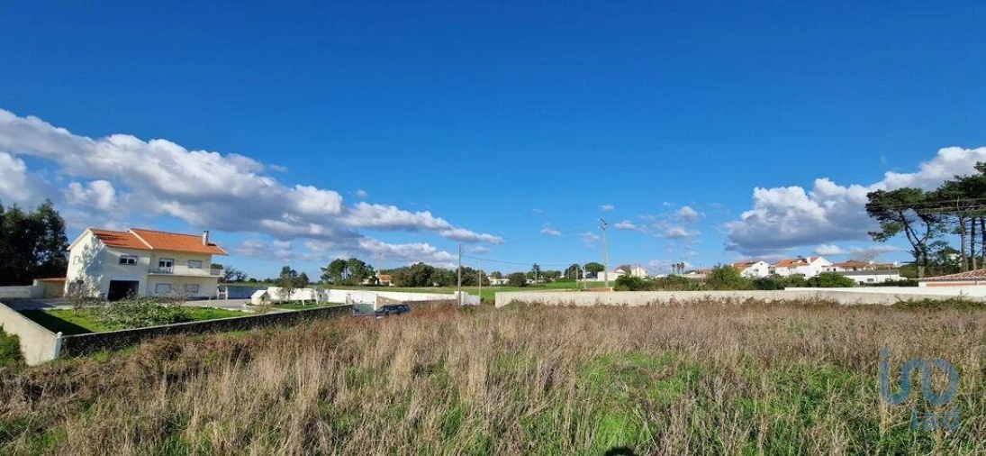 Terreno para Venda em Igreja Nova e Cheleiros Foto 6