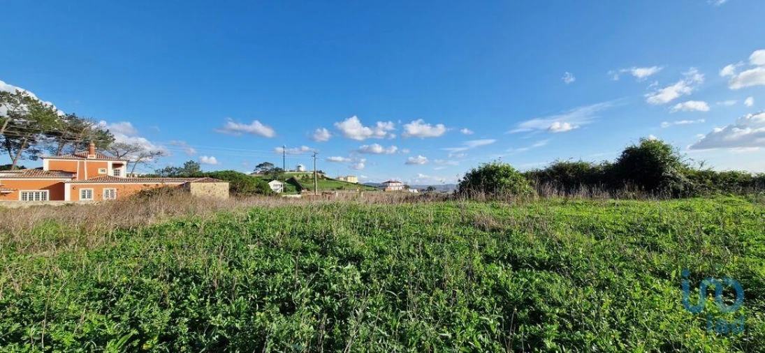 Terreno para Venda em Igreja Nova e Cheleiros Foto 7