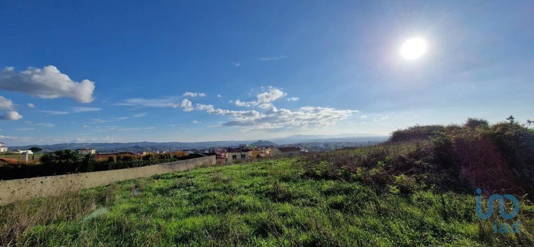 Terreno para Venda em Igreja Nova e Cheleiros Foto 10
