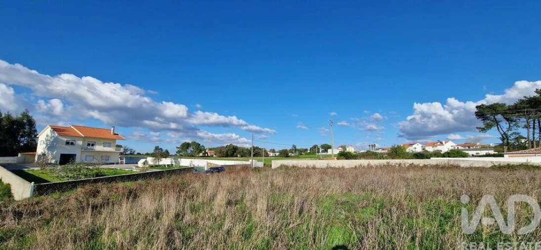 Terreno para Venda em Igreja Nova e Cheleiros Foto 26
