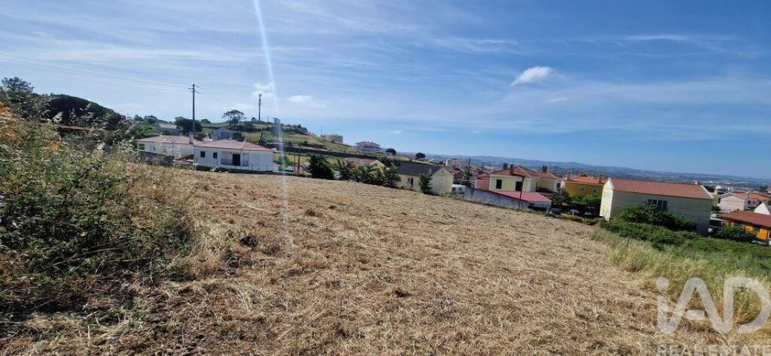 Terreno para Venda em Igreja Nova e Cheleiros Foto 10