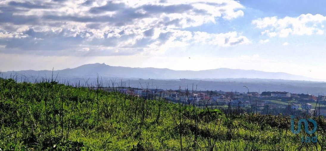 Terreno para Venda em Igreja Nova e Cheleiros Foto 8