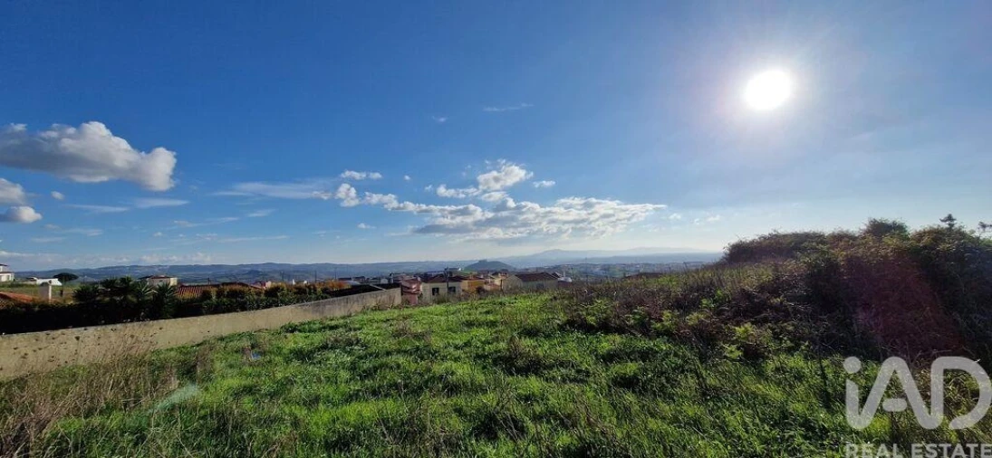Terreno para Venda em Igreja Nova e Cheleiros Foto 24