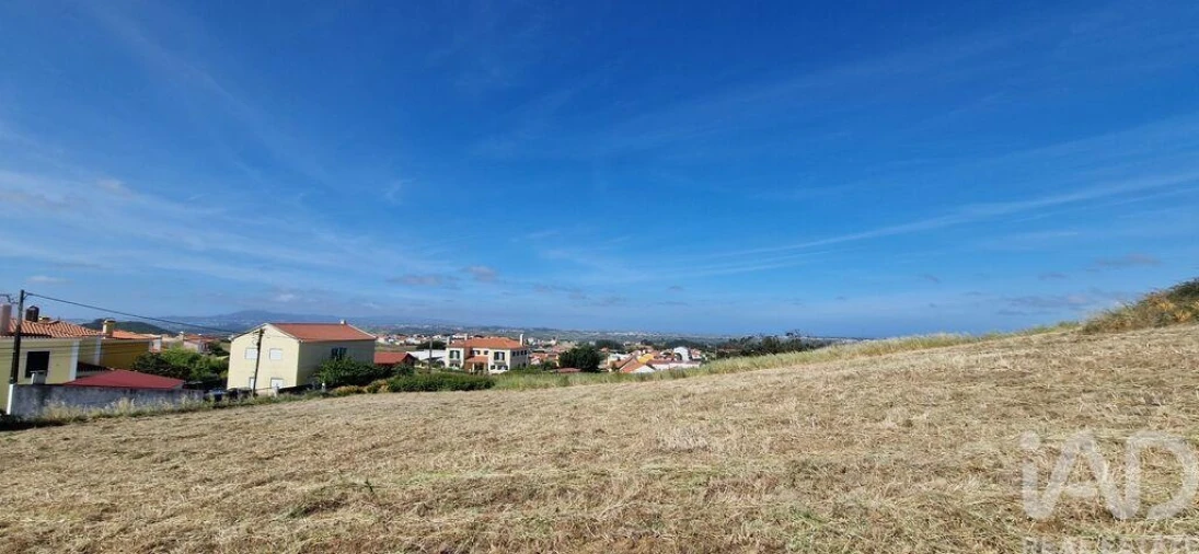 Terreno para Venda em Igreja Nova e Cheleiros Foto 5
