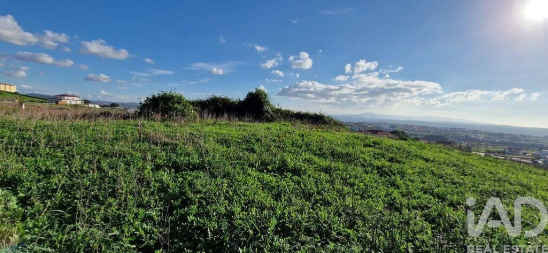 Terreno para Venda em Igreja Nova e Cheleiros Foto 18
