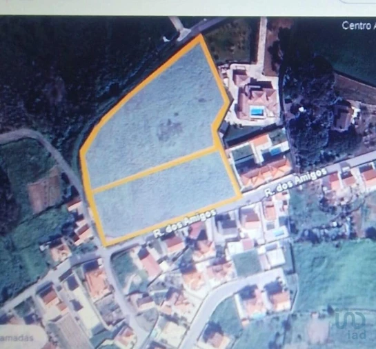 Terreno para Venda em Igreja Nova e Cheleiros Foto 14