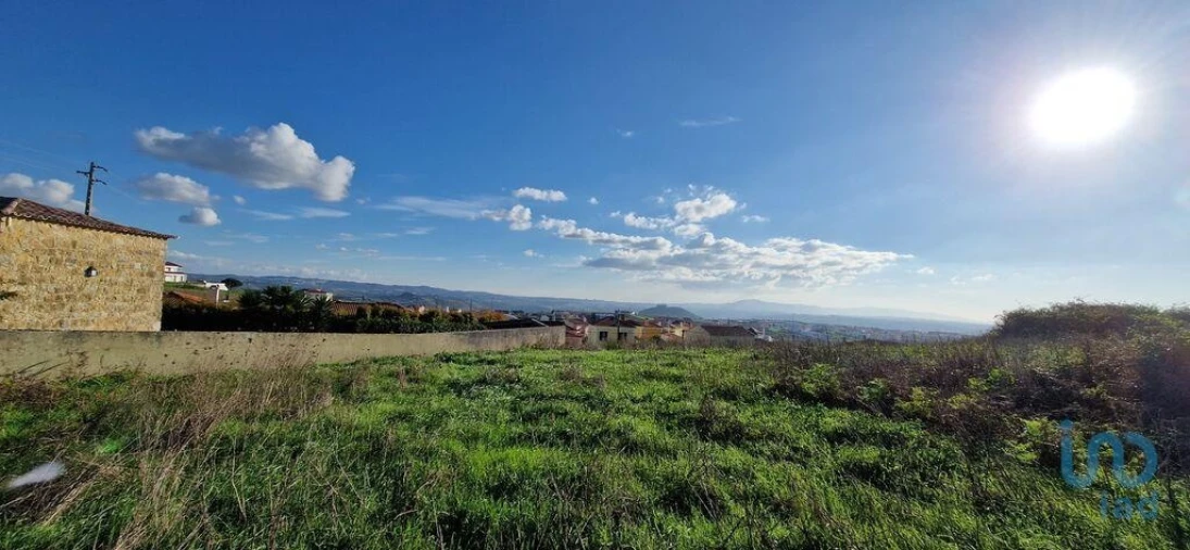 Terreno para Venda em Igreja Nova e Cheleiros Foto 12