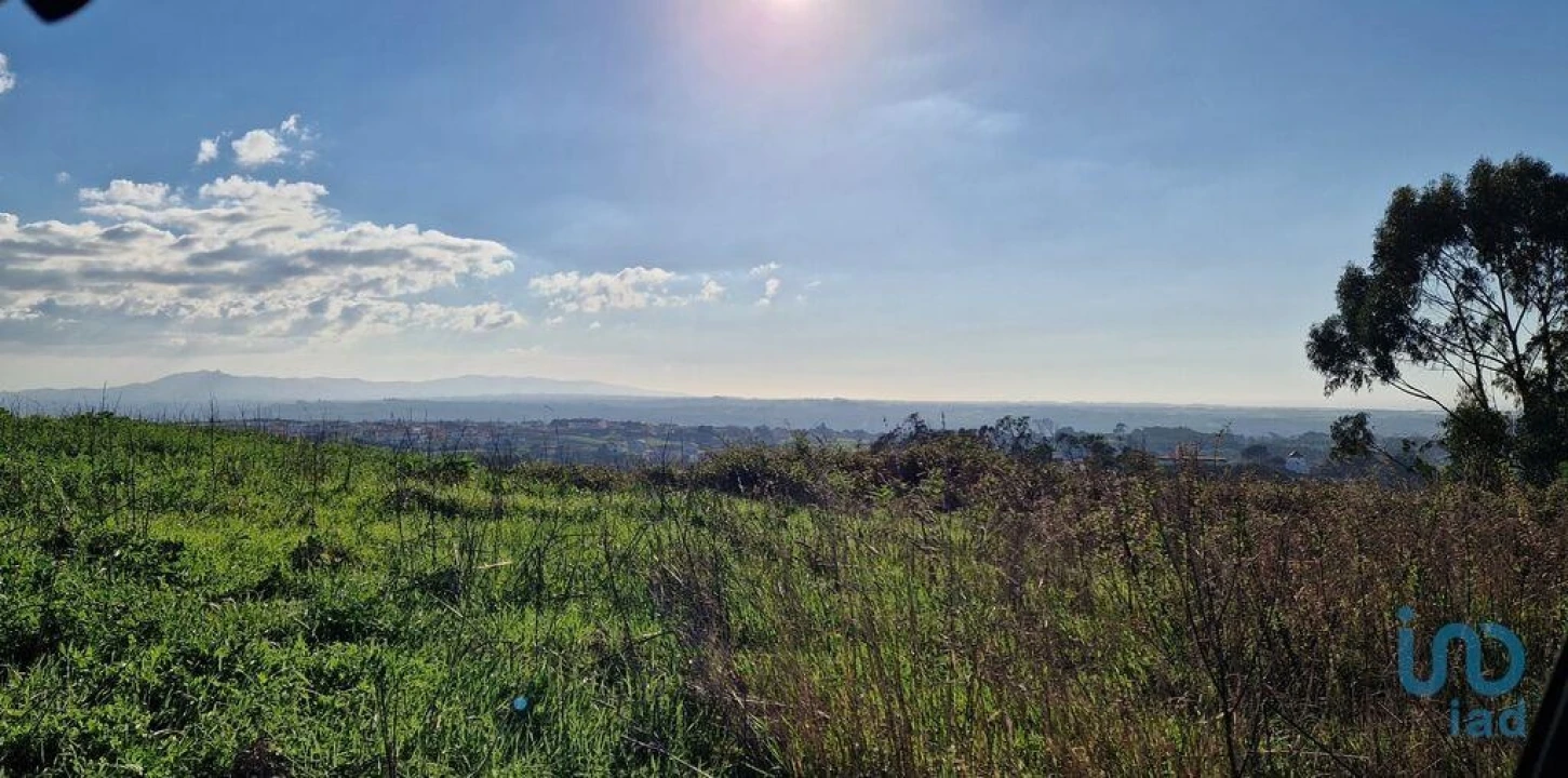 Terreno para Venda em Igreja Nova e Cheleiros Foto 9