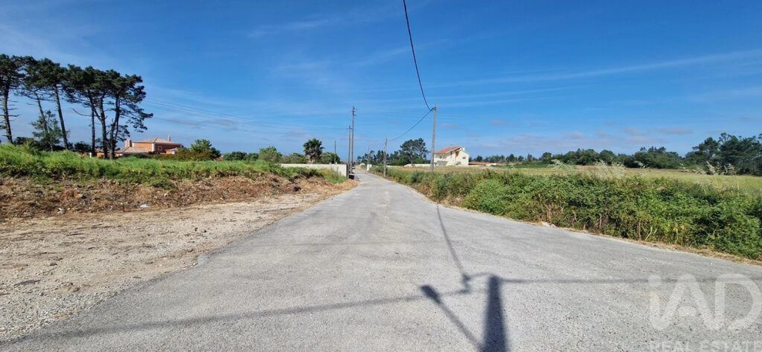 Terreno para Venda em Igreja Nova e Cheleiros Foto 12