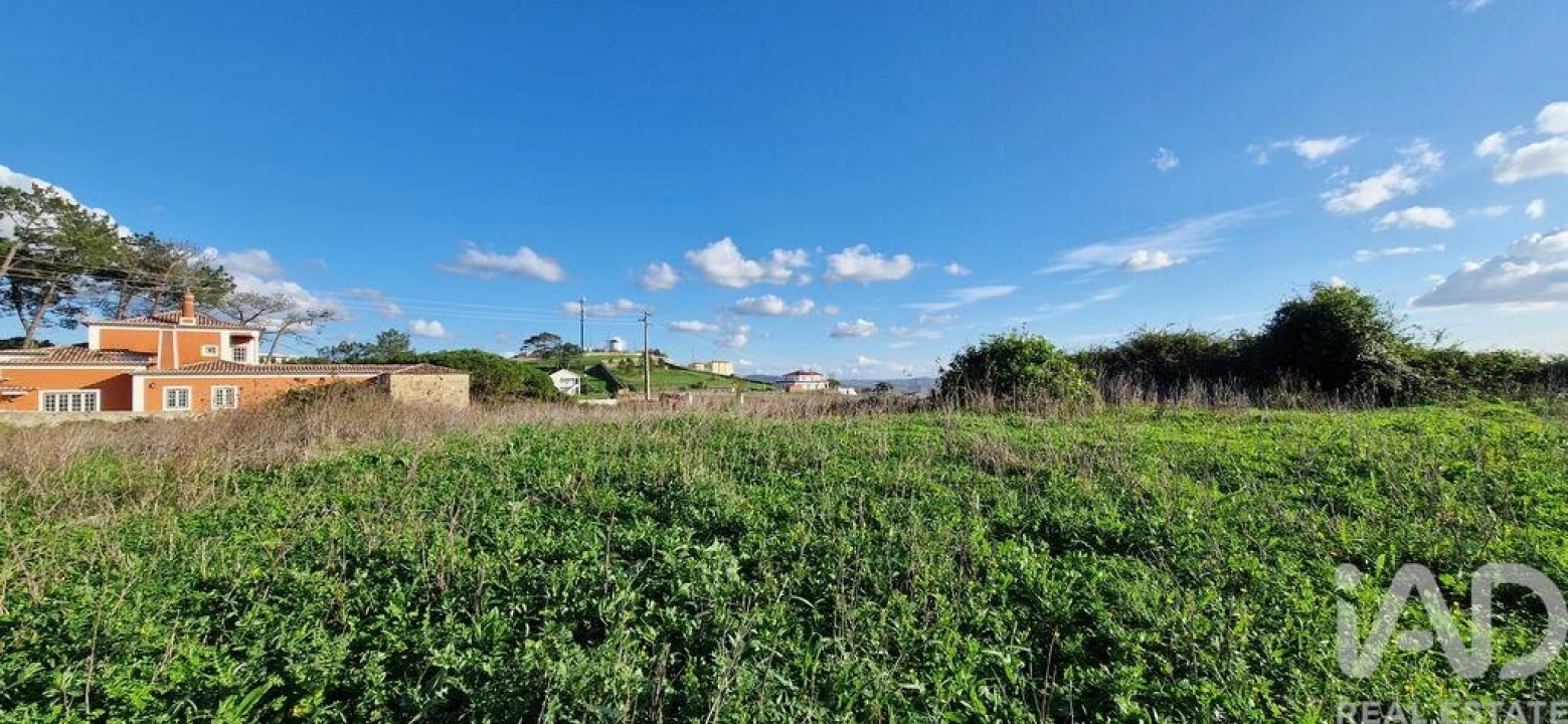Terreno para Venda em Igreja Nova e Cheleiros Foto 27