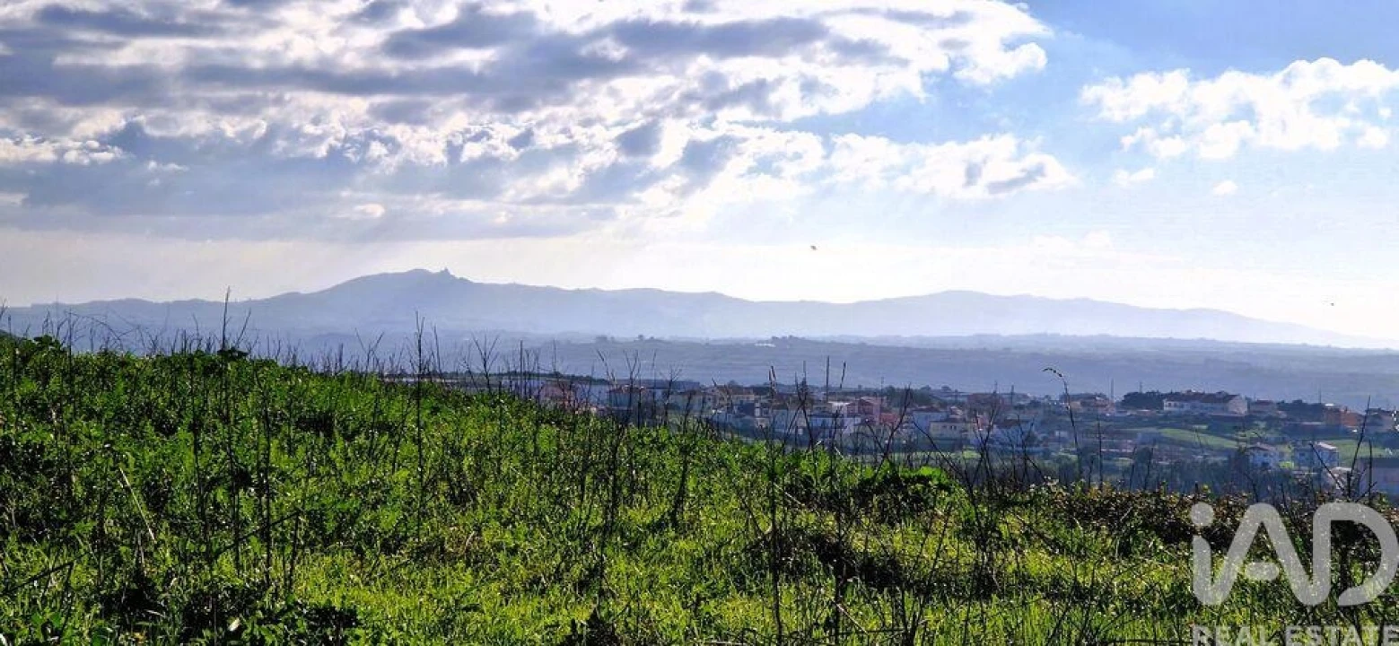 Terreno para Venda em Igreja Nova e Cheleiros Foto 20