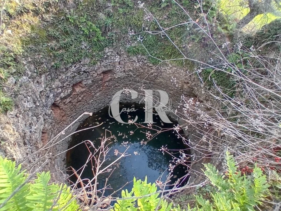 Terreno para Venda em Aguda Foto 3